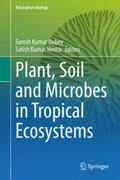 Dubey / Verma |  Plant, Soil and Microbes in Tropical Ecosystems | eBook | Sack Fachmedien