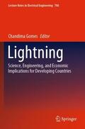 Gomes |  Lightning | Buch |  Sack Fachmedien