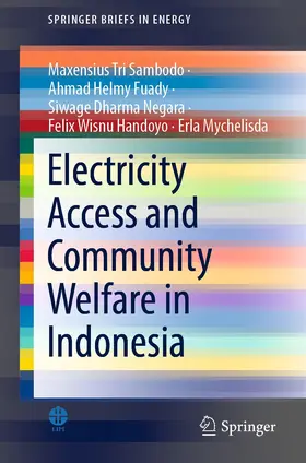 Sambodo / Fuady / Negara |  Electricity Access and Community Welfare in Indonesia | eBook | Sack Fachmedien