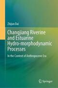 Dai |  Changjiang Riverine and Estuarine Hydro-morphodynamic Processes | Buch |  Sack Fachmedien