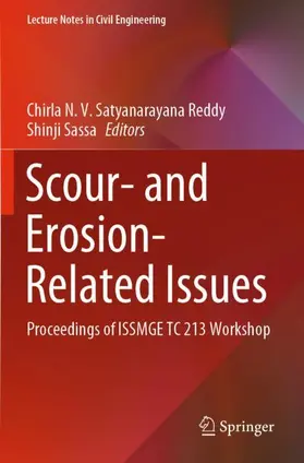 Sassa / Reddy |  Scour- and Erosion-Related Issues | Buch |  Sack Fachmedien