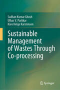 Ghosh / Parlikar / Karstensen |  Sustainable Management of Wastes Through Co-processing | eBook | Sack Fachmedien