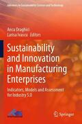 Ivascu / Draghici |  Sustainability and Innovation in Manufacturing Enterprises | Buch |  Sack Fachmedien