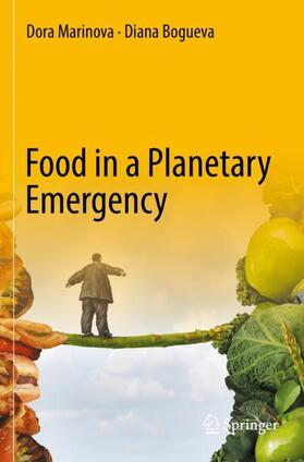 Bogueva / Marinova | Food in a Planetary Emergency | Buch | 978-981-1677-09-0 | sack.de