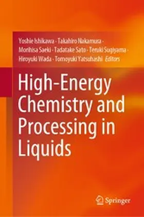 Ishikawa / Nakamura / Saeki | High-Energy Chemistry and Processing in Liquids | E-Book | www.sack.de