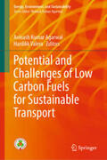 Agarwal / Valera |  Potential and Challenges of Low Carbon Fuels for Sustainable Transport | eBook | Sack Fachmedien