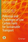 Valera / Agarwal |  Potential and Challenges of Low Carbon Fuels for Sustainable Transport | Buch |  Sack Fachmedien