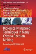 Dehuri / Cho / Prasad Mishra |  Biologically Inspired Techniques in Many Criteria Decision Making | Buch |  Sack Fachmedien