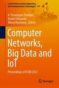 Pandian / Fernando / Haoxiang |  Computer Networks, Big Data and IoT | eBook | Sack Fachmedien