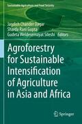 Dagar / Sileshi / Gupta |  Agroforestry for Sustainable Intensification of Agriculture in Asia and Africa | Buch |  Sack Fachmedien