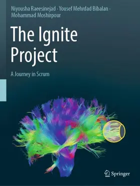 Raeesinejad / Moshirpour / Mehrdad Bibalan |  The Ignite Project | Buch |  Sack Fachmedien