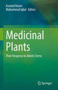 Husen / Iqbal |  Medicinal Plants | eBook | Sack Fachmedien