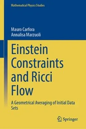 Carfora / Marzuoli | Einstein Constraints and Ricci Flow | E-Book | www.sack.de