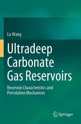 Wang | Ultradeep Carbonate Gas Reservoirs | Buch | 978-981-1997-10-5 | sack.de