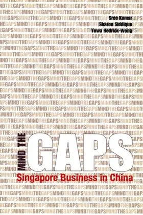 Kumar / Siddique / Hedrick-Wong |  Mind the Gaps | eBook | Sack Fachmedien