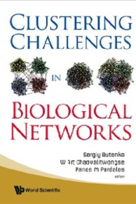 Chaovalitwongse / Butenko / Pardalos | Clustering Challenges In Biological Networks | E-Book | sack.de