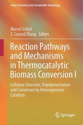 Zhang / Schlaf | Reaction Pathways and Mechanisms in Thermocatalytic Biomass Conversion I | Buch | 978-981-287-687-4 | sack.de