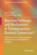 Zhang / Schlaf |  Reaction Pathways and Mechanisms in Thermocatalytic Biomass Conversion I | Buch |  Sack Fachmedien