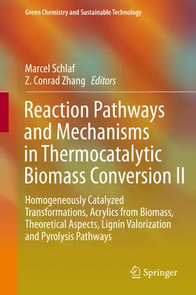 Schlaf / Zhang | Reaction Pathways and Mechanisms in Thermocatalytic Biomass Conversion II | E-Book | sack.de