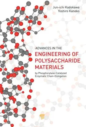 Kadokawa / Kaneko | Advances in the Engineering of Polysaccharide Materials | Buch | 978-981-4364-45-4 | www.sack.de