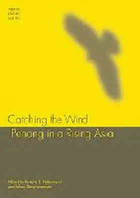 Hutchinson / Saravanamuttu |  Catching the Wind | Buch |  Sack Fachmedien