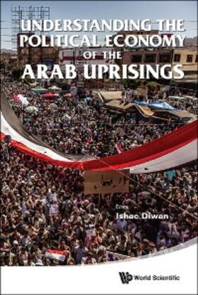 Diwan | UNDERSTANDING THE POLITICAL ECONOMY OF THE ARAB UPRISINGS | E-Book | sack.de