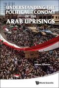 Diwan |  UNDERSTANDING THE POLITICAL ECONOMY OF THE ARAB UPRISINGS | eBook | Sack Fachmedien