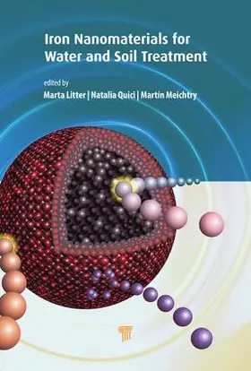 Litter / Quici / Meichtry |  Iron Nanomaterials for Water and Soil Treatment | Buch |  Sack Fachmedien