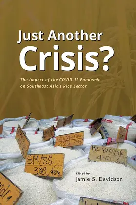 Davidson |  Just Another Crisis? | eBook | Sack Fachmedien