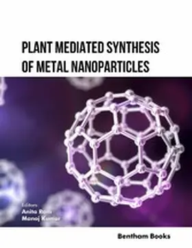 Rani / Kumar |  Plant Mediated Synthesis of Metal Nanoparticles | eBook | Sack Fachmedien