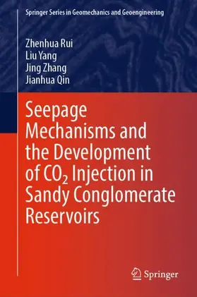 Rui / Yang / Zhang |  Seepage Mechanisms and the Development of CO2 Injection in Sandy Conglomerate Reservoirs | Buch |  Sack Fachmedien