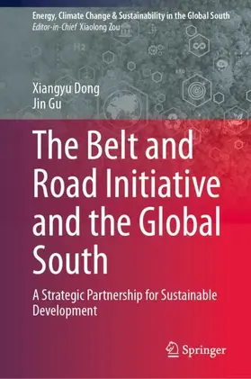 Dong / Gu |  The Belt and Road Initiative and the Global South | Buch |  Sack Fachmedien
