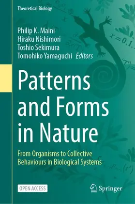 Maini / Nishimori / Sekimura |  Patterns and Forms in Nature | Buch |  Sack Fachmedien