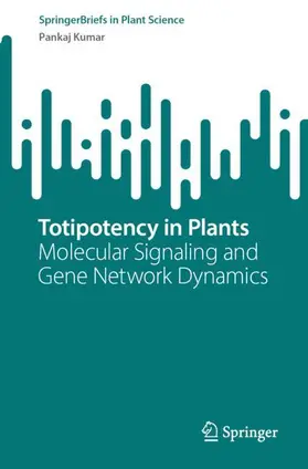 Kumar |  Totipotency in Plants | Buch |  Sack Fachmedien