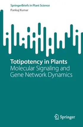 Kumar | Totipotency in Plants | E-Book | www.sack.de