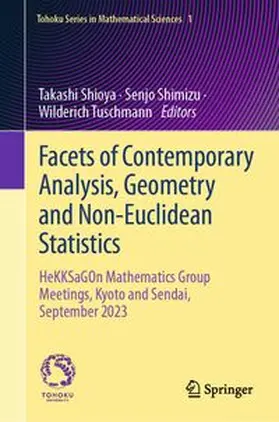 Shioya / Shimizu / Tuschmann |  Facets of Contemporary Analysis, Geometry and Non-Euclidean Statistics | eBook | Sack Fachmedien