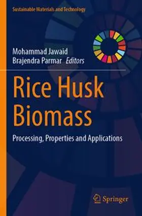 Jawaid / Parmar |  Rice Husk Biomass | Buch |  Sack Fachmedien