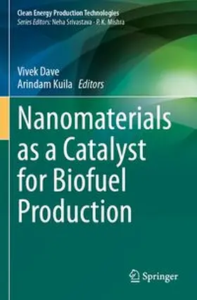 Dave / Kuila | Nanomaterials as a Catalyst for Biofuel Production | Buch | 978-981-961708-1 | www.sack.de
