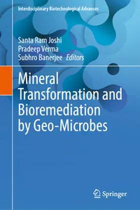 Joshi / Verma / Banerjee | Mineral Transformation and Bioremediation by Geo-Microbes | E-Book | sack.de