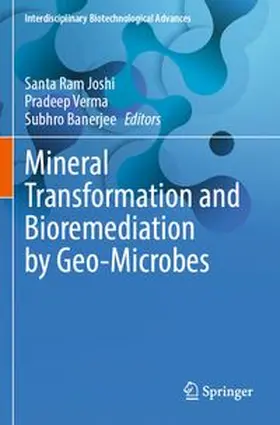 Joshi / Verma / Banerjee |  Mineral Transformation and Bioremediation by Geo-Microbes | Buch |  Sack Fachmedien