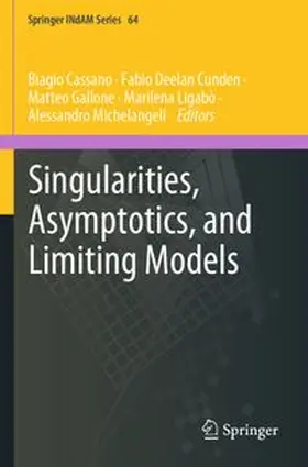 Cassano / Cunden / Gallone |  Singularities, Asymptotics, and Limiting Models | Buch |  Sack Fachmedien