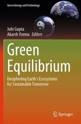 Gupta / Verma |  Green Equilibrium | Buch |  Sack Fachmedien
