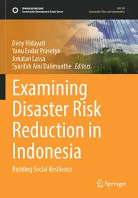 Hidayati / Prasetyo / Lassa |  Examining Disaster Risk Reduction in Indonesia | Buch |  Sack Fachmedien