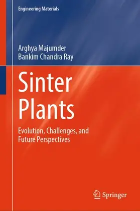Ray / Majumder |  Sinter Plants | Buch |  Sack Fachmedien