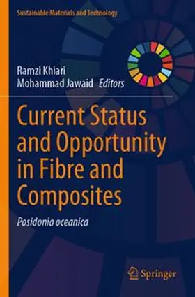 Khiari / Jawaid |  Current Status and Opportunity in Fibre and Composites | Buch |  Sack Fachmedien