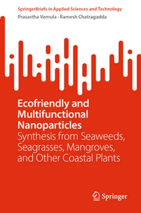 Ram Vemula / Chatragadda | Ecofriendly and Multifunctional Nanoparticles | E-Book | www.sack.de