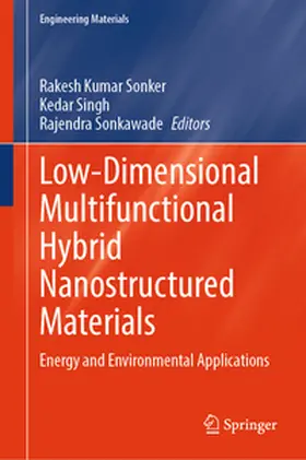 Sonker / Singh / Sonkawade | Low-Dimensional Multifunctional Hybrid Nanostructured Materials | E-Book | www.sack.de