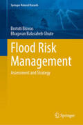 Biswas / Ghute |  Flood Risk Management | Buch |  Sack Fachmedien