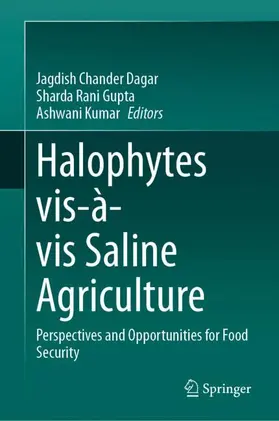 Dagar / Kumar / Gupta |  Halophytes vis-à-vis Saline Agriculture | Buch |  Sack Fachmedien