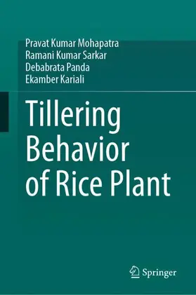 Mohapatra / Sarkar / Panda |  Tillering Behavior of Rice Plant | Buch |  Sack Fachmedien